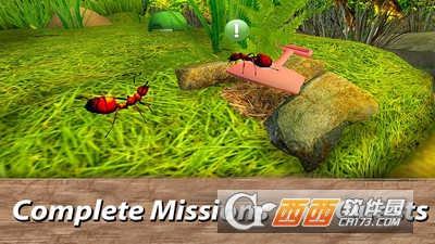 蚂蚁生存模拟器 v1.01 安卓版