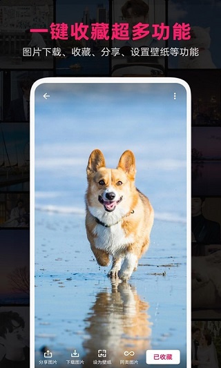 图片搜搜手机版  v5.3.1