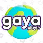 球员风格Gaya Player