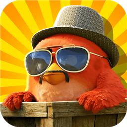 丛林鸟大冒险单机版