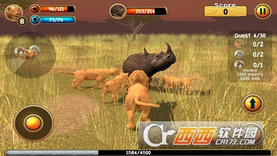 野生狮子模拟器3D v2.0