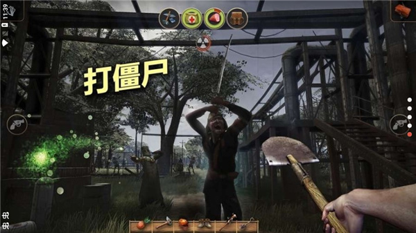辐射岛高级版