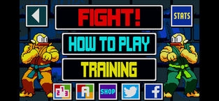 FlappyFighter v4.0.5
