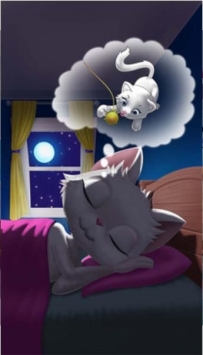 凯蒂猫的一天截图0