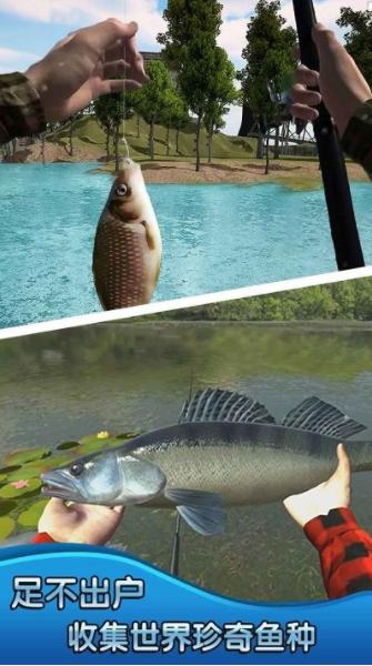 钓鱼猎手游戏 2024-06-25 15:08