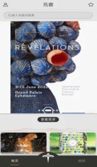 元客艺术藏品截图2