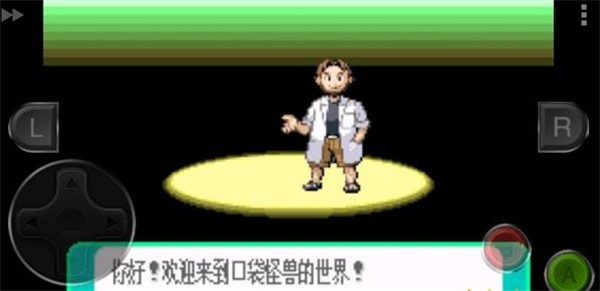 口袋妖怪绿宝石汉化版截图1