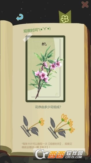老农种树红包版