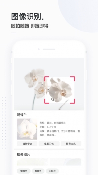 简单搜索ios版 v2.0.5