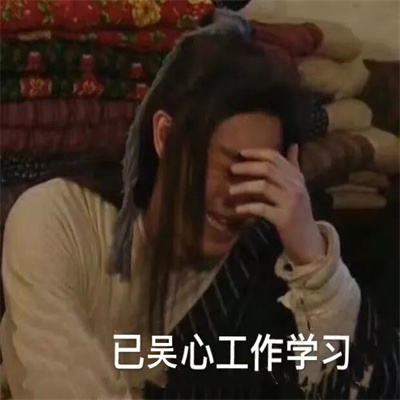吴心工作表情包图片 v1.0