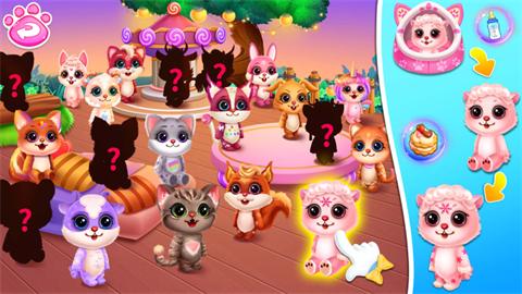 可爱宠物护理屋