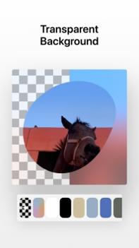 Objet v3.0.5