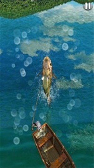 终极钓鱼3D 版本:v1.0