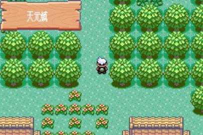 口袋妖怪模拟器  v9.0.15