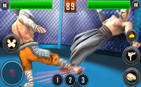 真正的摔跤革命  V 1.0