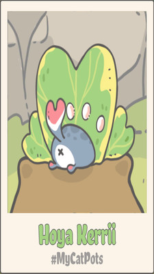 我的猫咪盆栽.jpg