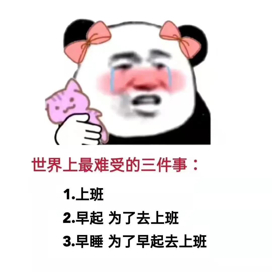 sjszndsjs.jpg sjszndsjs.jpg