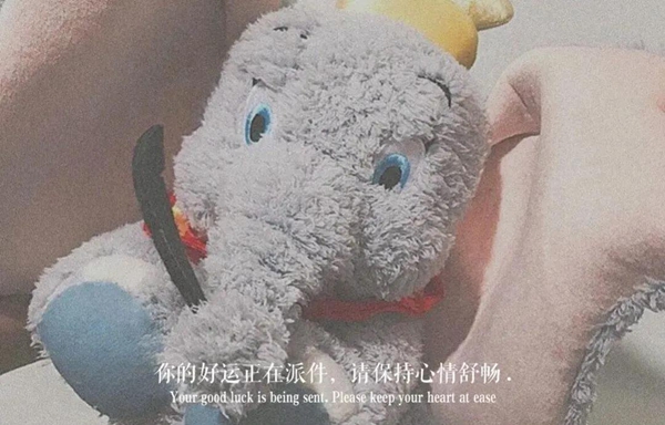 你的好运正在派件请保持心情舒畅图片 v1.0