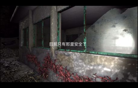 孙美琪疑案冯跃进攻略完整版  v3.1.3