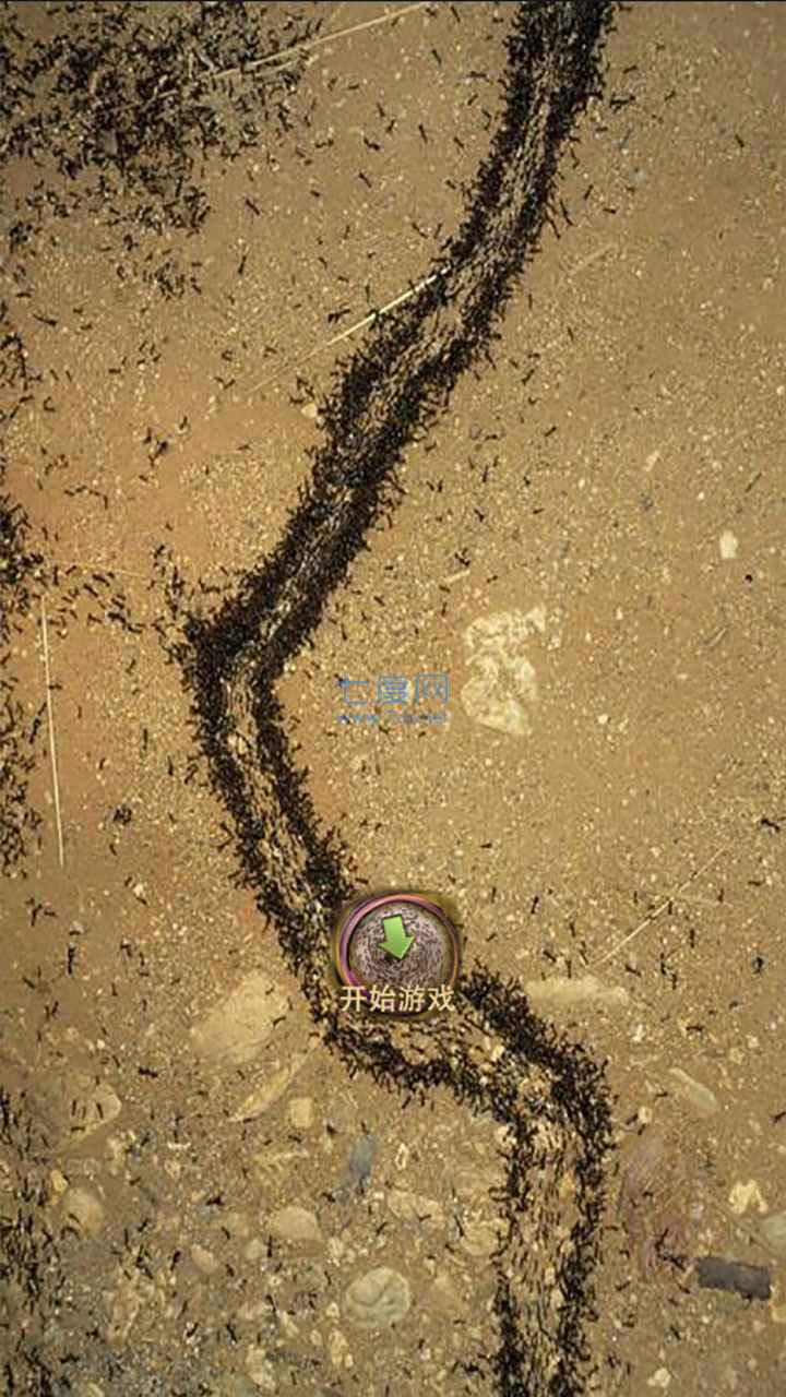 地下蚁国免费手机版 v2.0