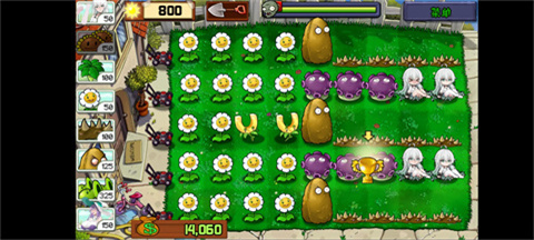 植物娘大战僵尸庄不纯手机版 v0.2.3