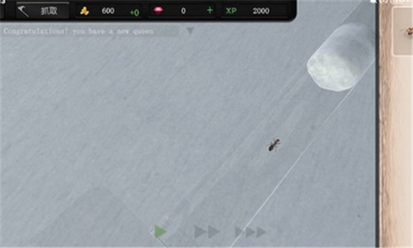 蚂蚁模拟大亨中文正版  v2.6