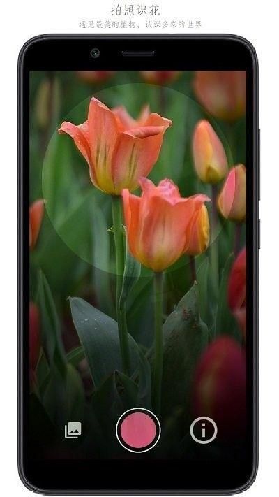 万物识别 v2.1.56.230324