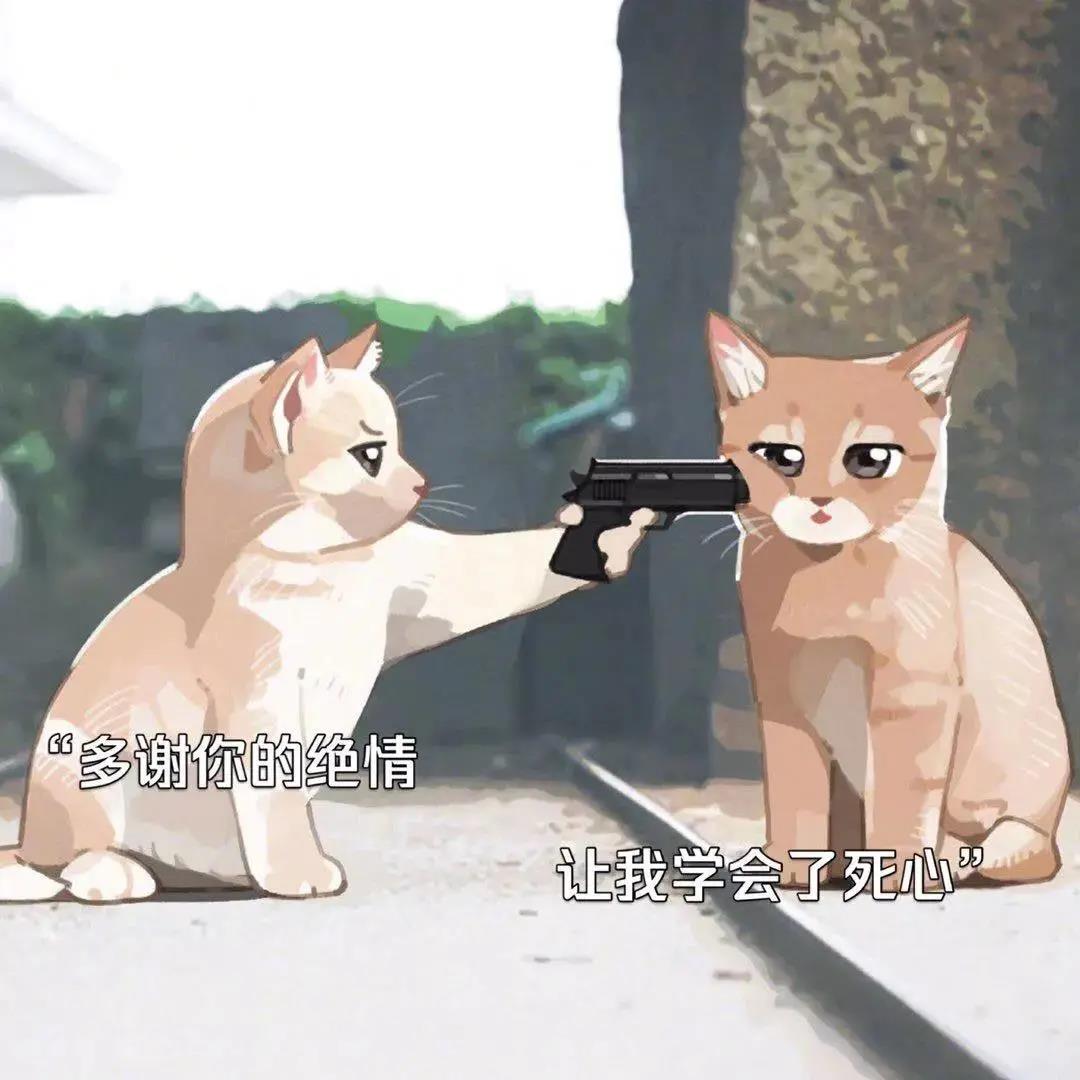 多谢你的绝情让我学会了死心猫咪拿枪背景图.jpg 多谢你的绝情让我学会了死心猫咪拿枪背景图.jpg