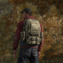 dayz手机中文版