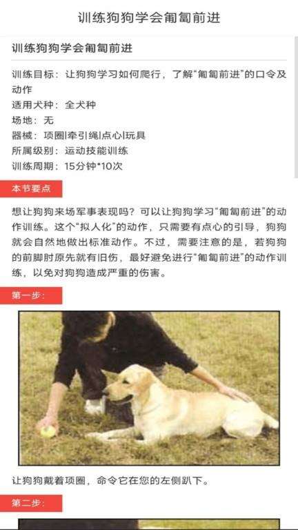 动物对话翻译器中文版