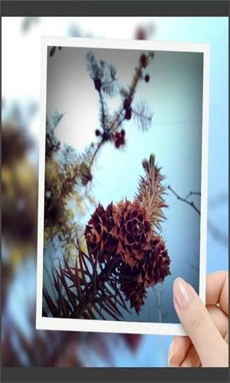 趣拍玩图照相机手机版 v8081.23.11.1 安卓版