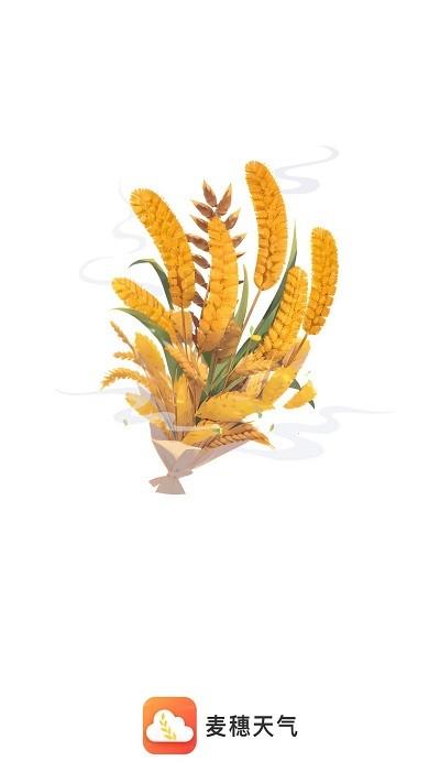 麦穗天气预报平台
