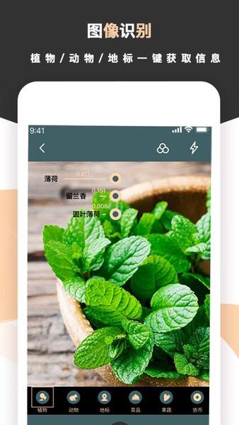 标准扫描王软件