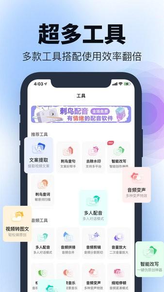 刺鸟配音官方版