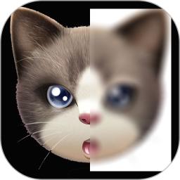 趣拍玩图照相机手机版