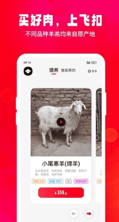 飞扣牧场最新版 v1.1.0 安卓版
