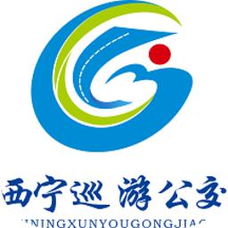 西宁巡游网约公交车手机版