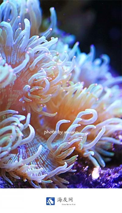 海友网论坛官方版