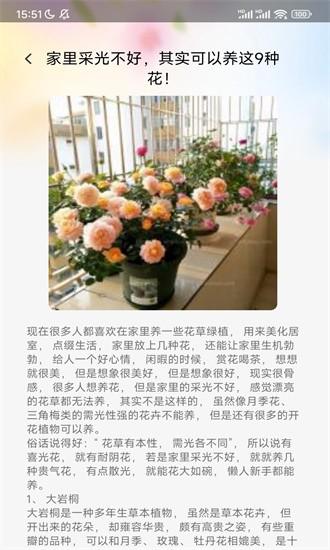 妙看百花手机版