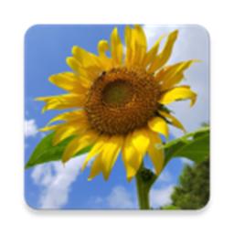 伤寒论学习最新版