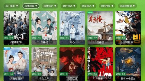 FM影视TV内置源版