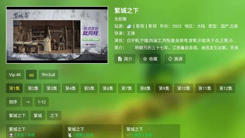 FM影视TV内置源版