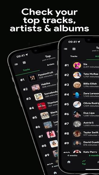 stats.fm for spotify图片3