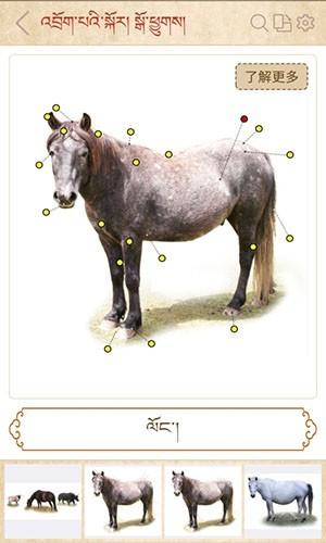 传统图解词典 安卓版v1.9.5 安卓版v1.9.5