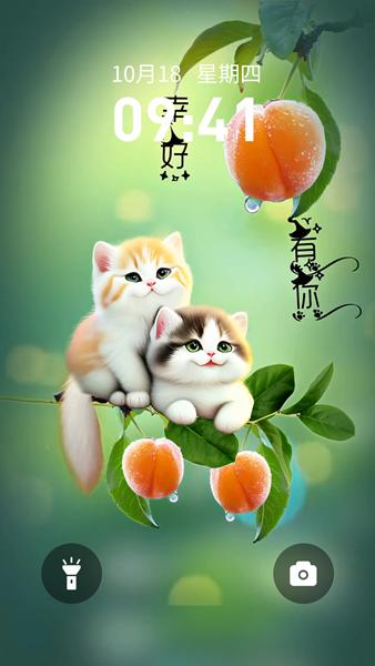 壁纸小助手软件 安卓版v1.0.4