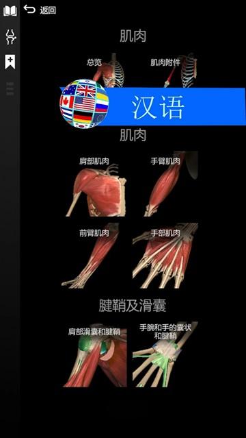 3D解剖学Anatomy Learning完整版 免付费版v2.1.425 免付费版v2.1.425