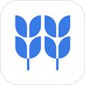 稻壳文档手机版 安卓版v10.10.13