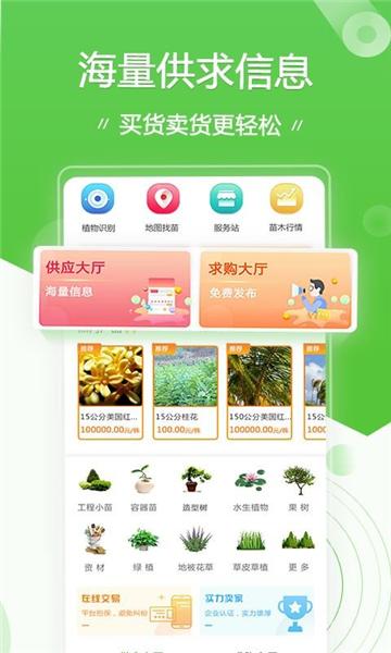 苗木通app图片4