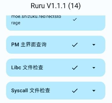 Ruru检测器图片5