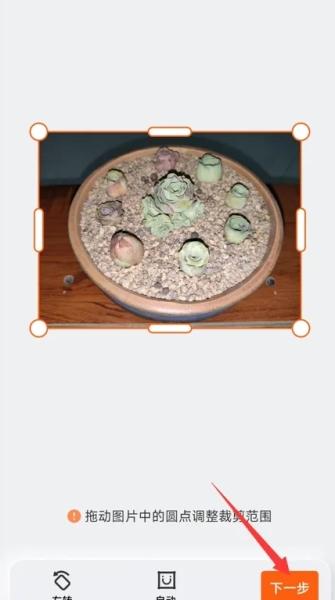 布丁扫描图片14